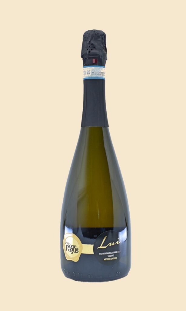 luì metodo classico spumante falanghina biowein schaumwein 60 mesi sur lies champagne biologische weissweine italien