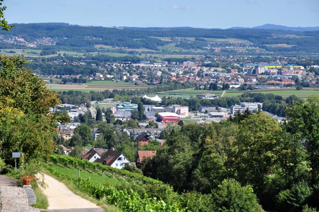 Blick von Regensberg über Reben auf das Dorf Dielsdorf im Zürcher Unterland