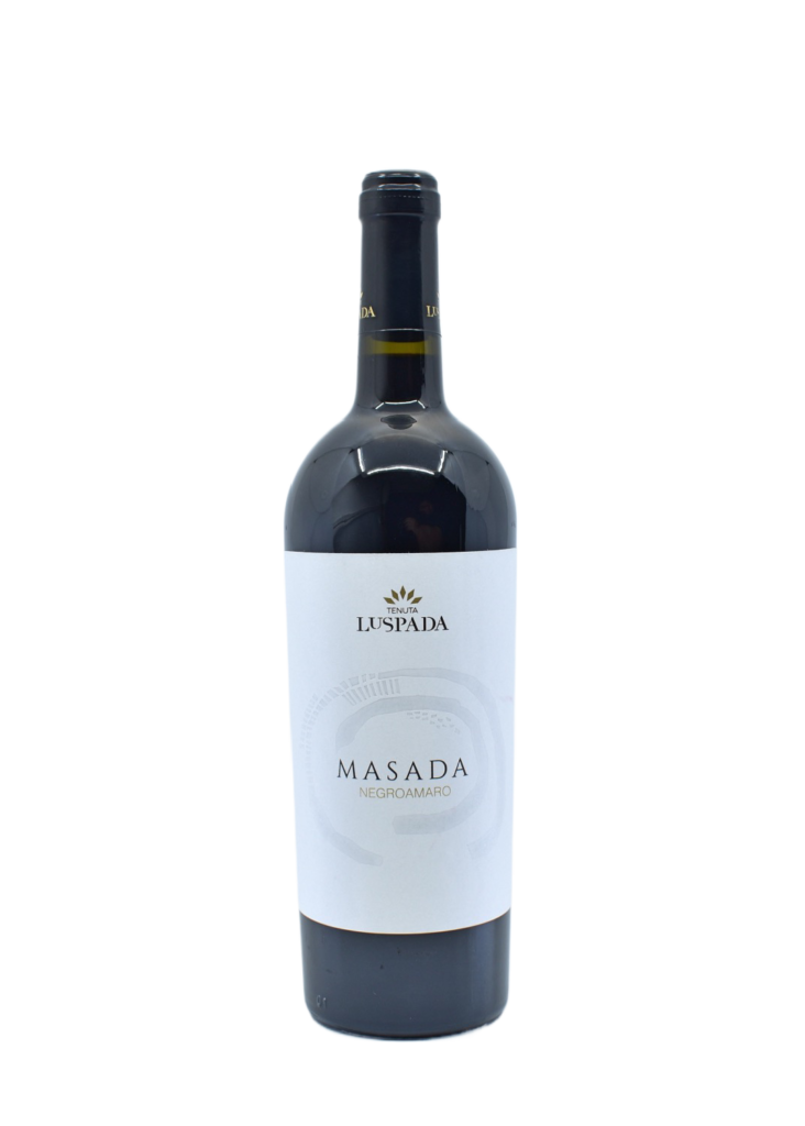 MASADA 2019