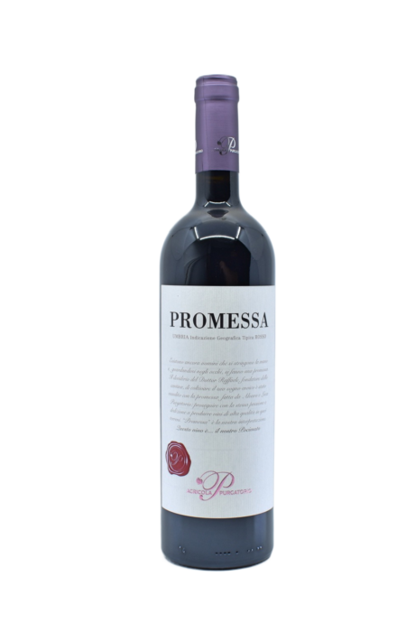 PROMESSA 2021